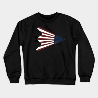 F117 Nighthawk USAF Crewneck Sweatshirt